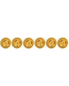 Lot de 6 gommes de nettoyage avec lamelles, Ø 100 x 26 mm pour 515.5445