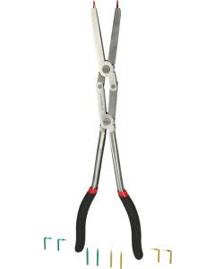 FOT_PRO_ALG_500.7035