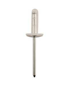 Rivets étanches pour Toyota/Lexus - Ø 4,9 mm - 10 pcs