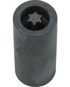 Douille pour vis TORX® pour disque de frein, T40