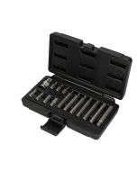 Coffret de 15 Embout de vissages 6 pans 1/2'', 12 mm